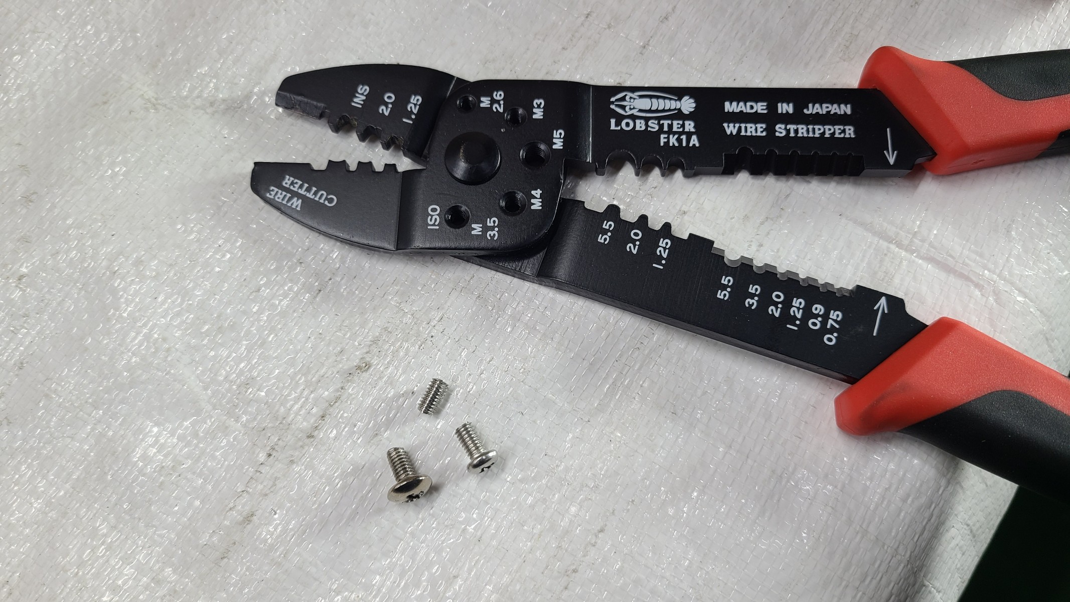 さすが！！　ロブスター🦞