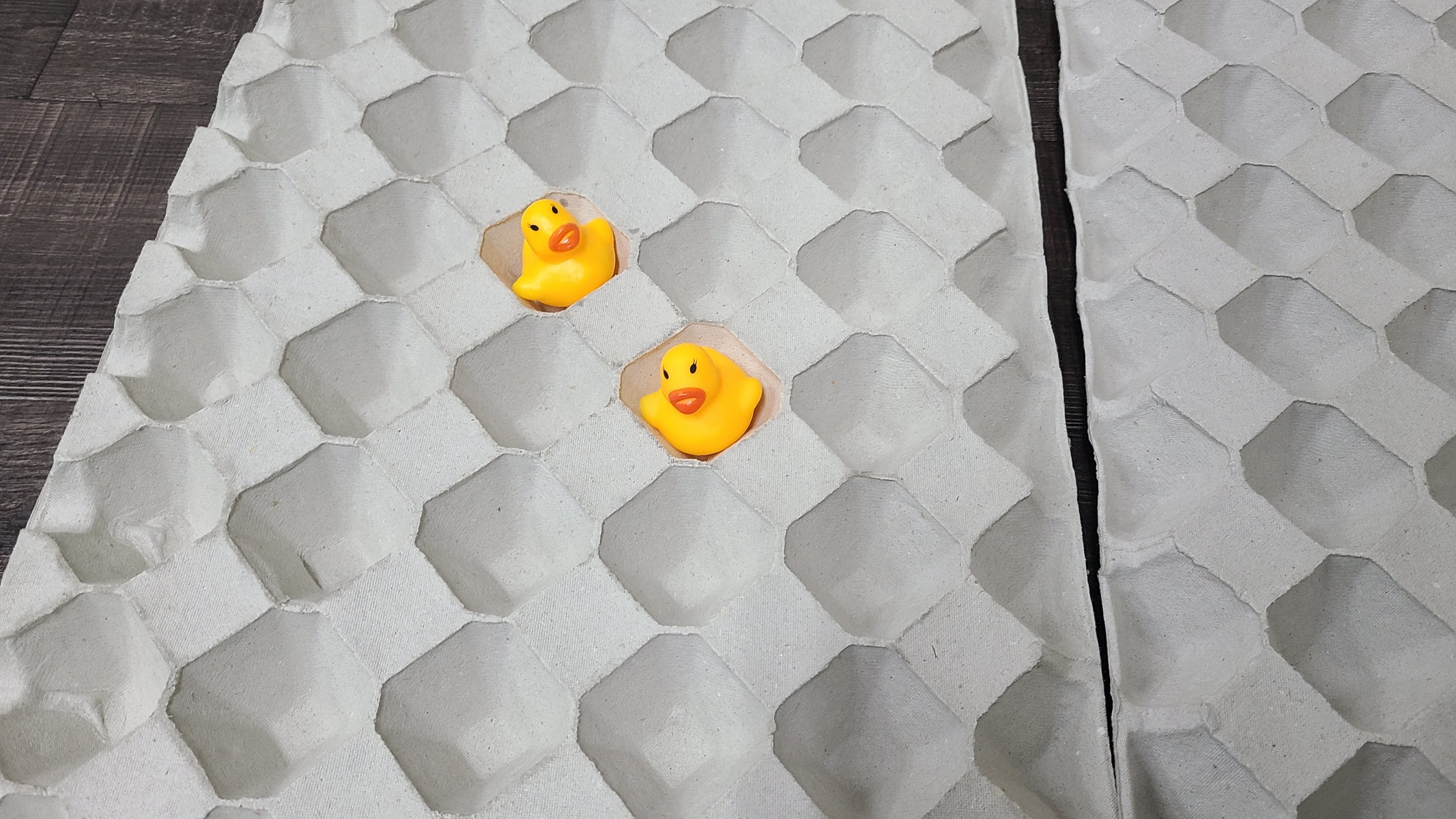 コレ！！　探していました