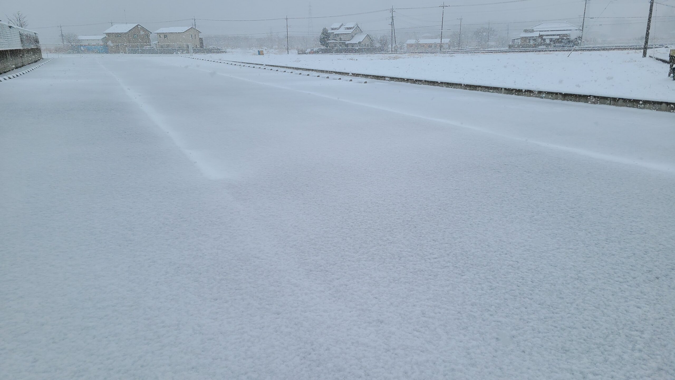 久しぶりの　雪化粧　❄️❄️